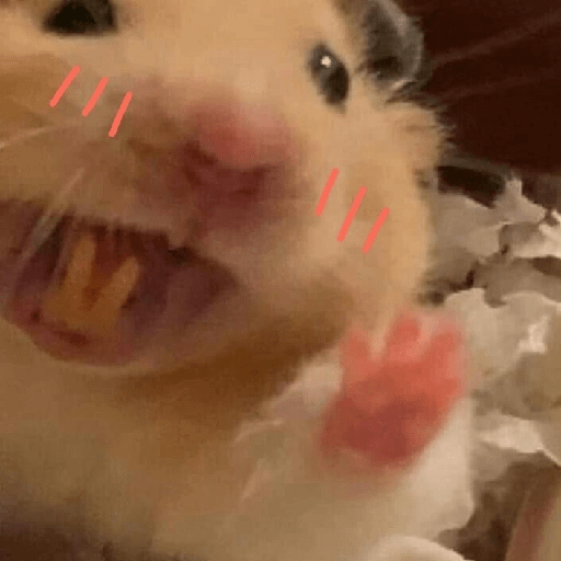 HAMSTER IMUT 16