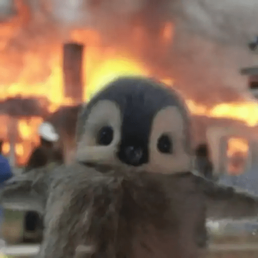 💓 Pingüinos bebé 3🐧 1