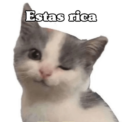 🧿 Dilo con michis 5😺 20