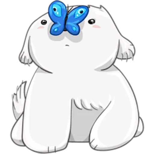 Beloni Cute Dog ✨🐶 9