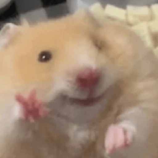 🐀Ratitas y Hámsters 🐹 9