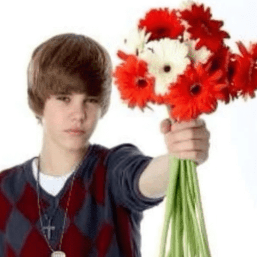 Justin Bieber 16