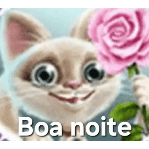 Boa noite 13