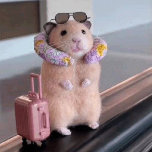 Vacaciones 🏕️🏖️✈️🧳 3