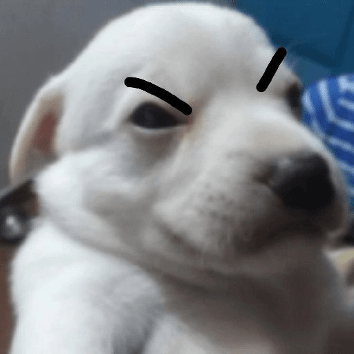 Enojado 🤨 5