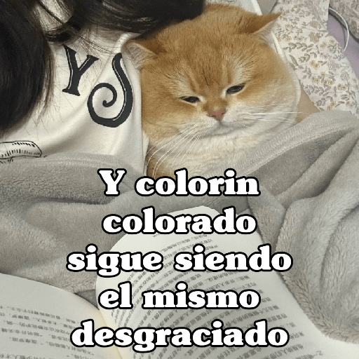 🧿 Dilo con Michis 4🐱 3