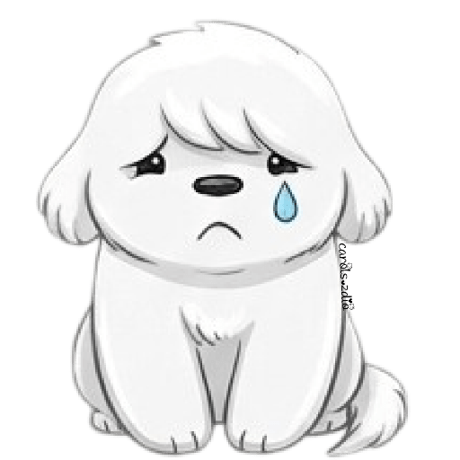 Cute Dog 🐶 Perrito Blanco 🆕  7