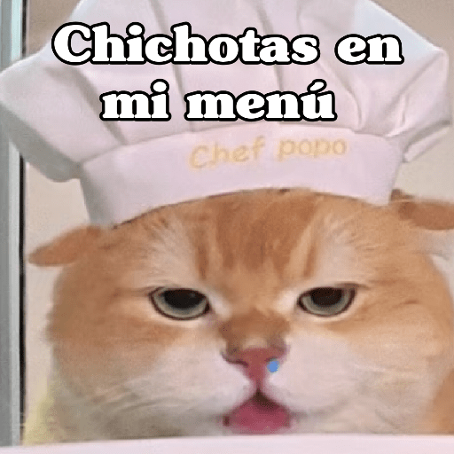🧿 Dilo con Michis 4🐱 9