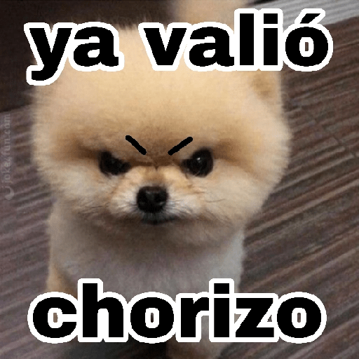 Perritos enojados 🔥😡 1
