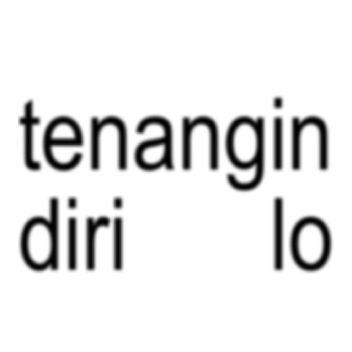 Anomali plenger 13