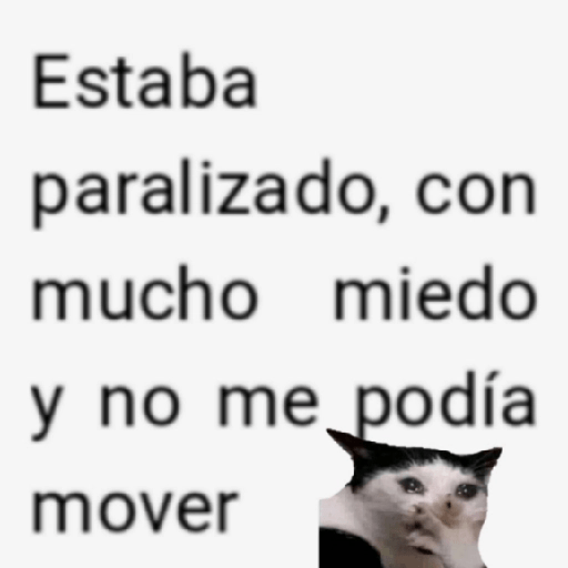 Frases #4 📋 4