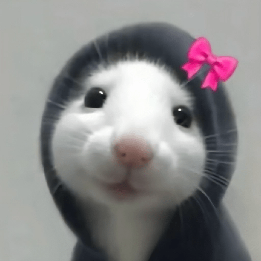🐀Ratitas y Hámsters 🐹 13