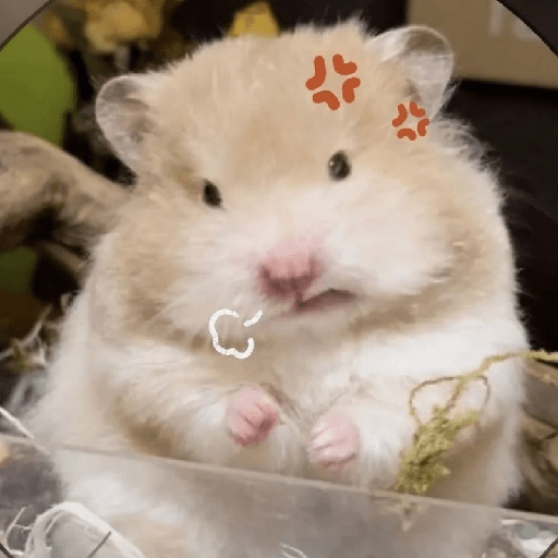 HAMSTER IMUT 3