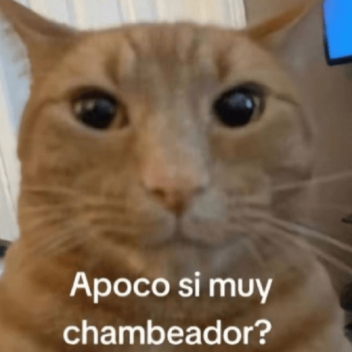 Frases 😆 8
