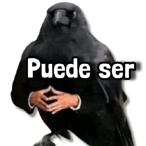 Memes en Tendencia 🔥 7