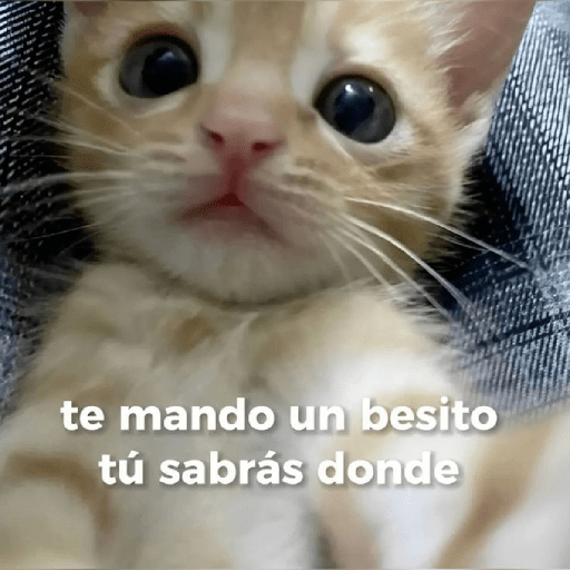 Frases 😆 4