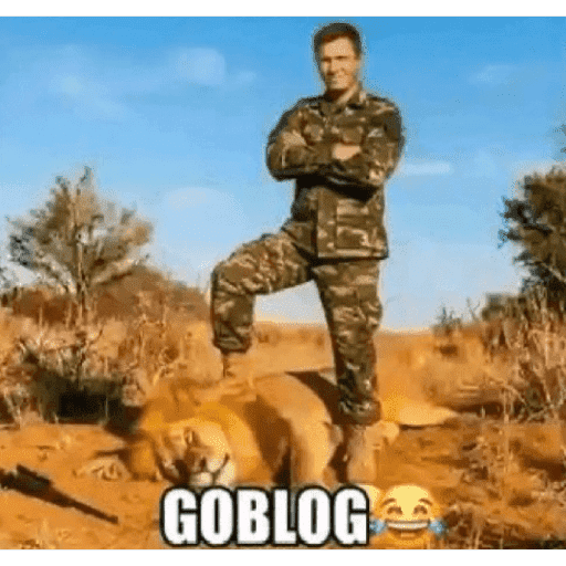 MEME GOKIL SINGA 7