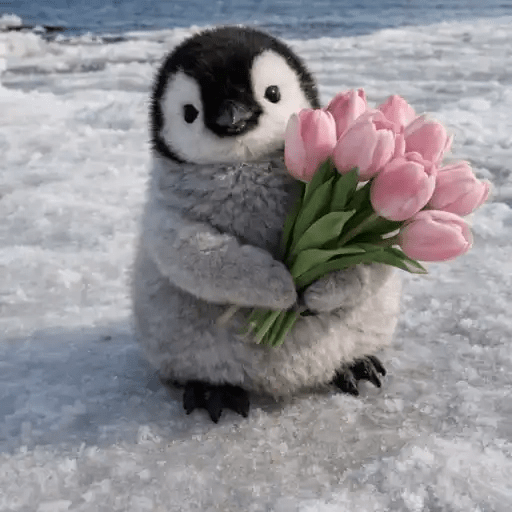 💓 Pingüinos bebé 3🐧 2