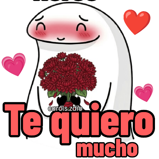 🌹 Flork Flores Enamorado ❤️🌹 15
