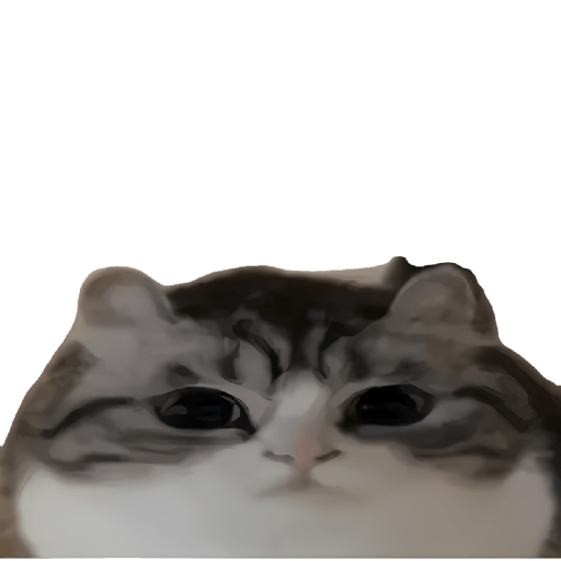 Gatitos memes viral 🔥 8
