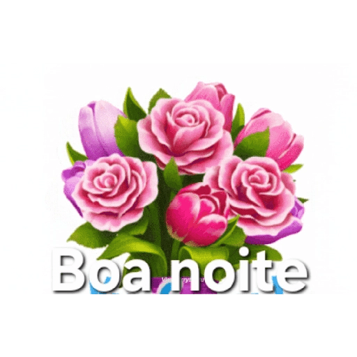 Boa noite 14