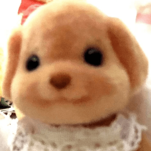 Tierno 🥺 9
