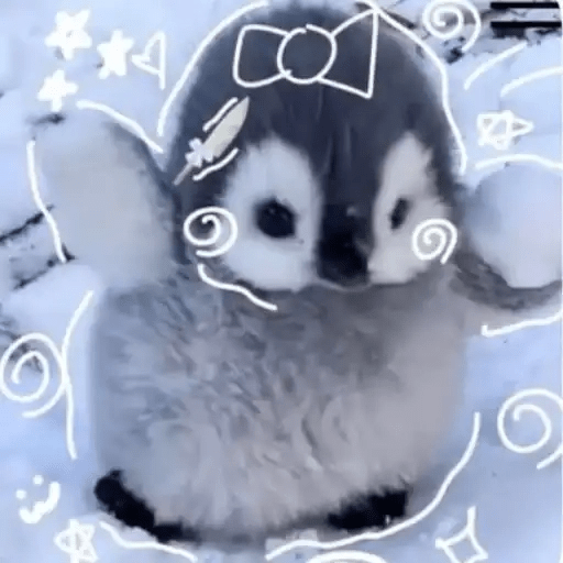 💓 Pingüinos bebé 3🐧 14