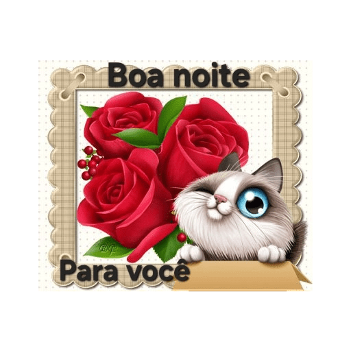 Boa noite 8