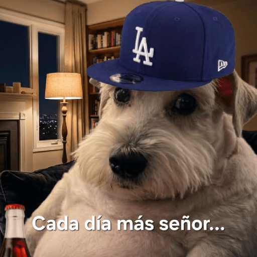 Memes 77 8