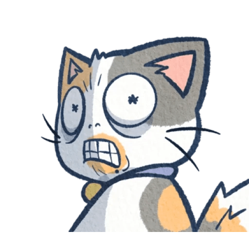 Gato Gatito loco 😜 crazy cat 😺 3