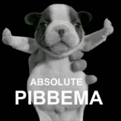 🪂🫯 Pibble Dog - TikTok 🫯🪂 3