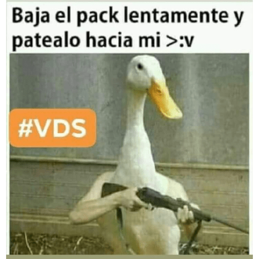 Adios vaquero 8