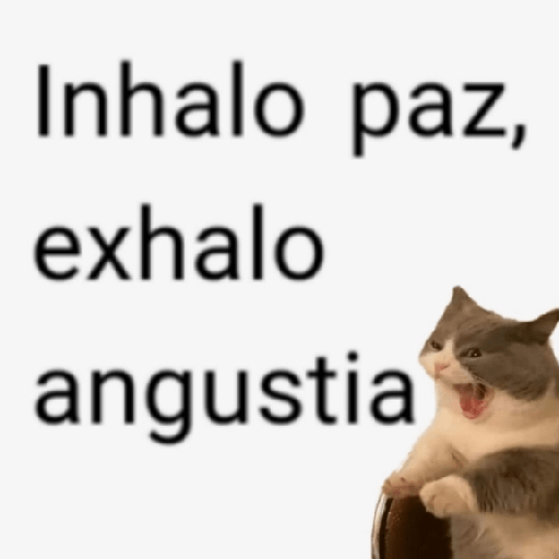 Frases #4 📋 2