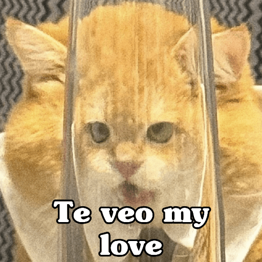 🧿 Dilo con Michis 4🐱 6