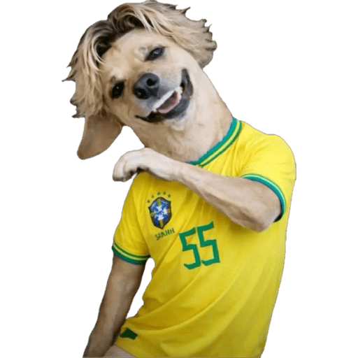 Brasil x Marrocos 14