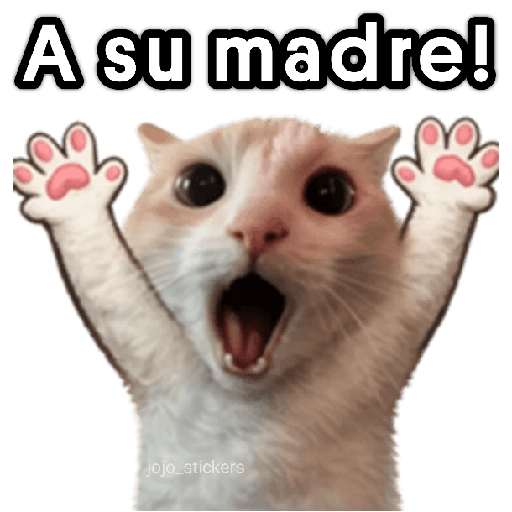 🐾🐈‍⬛ Gato |michi|cat 🐾 2