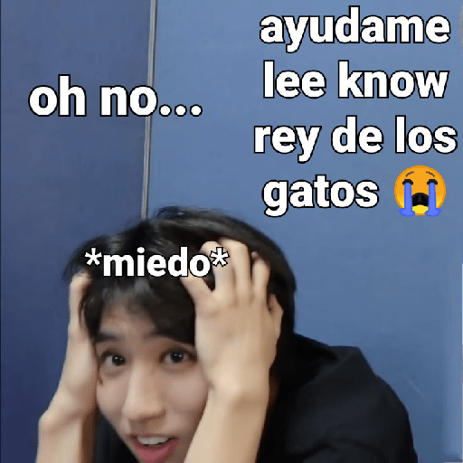 oh no... ayudame lee know rey de los gatos *miedo*