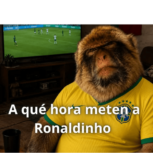 Memes 76 23
