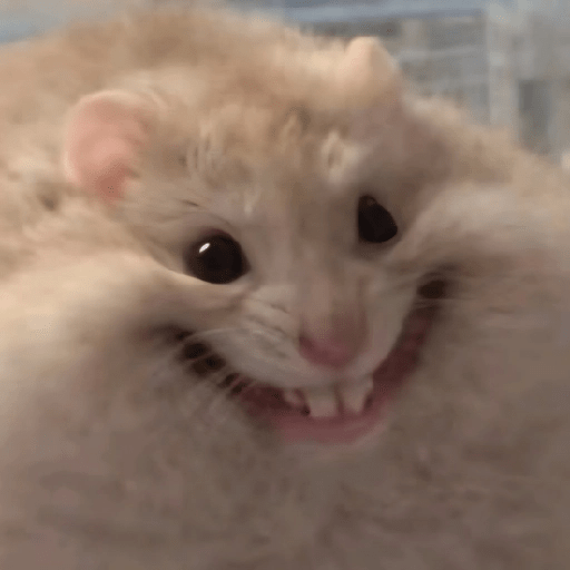 🐀Ratitas y Hámsters 🐹 17