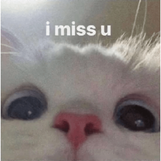 Kata-kata kangen / miss you  18