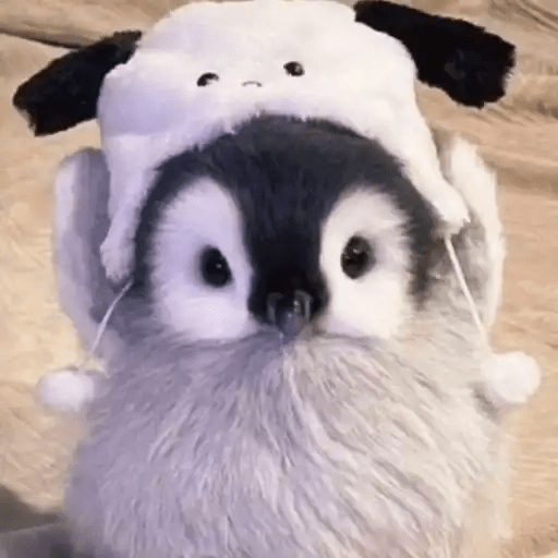 💓 Pingüinos bebé 3🐧 3