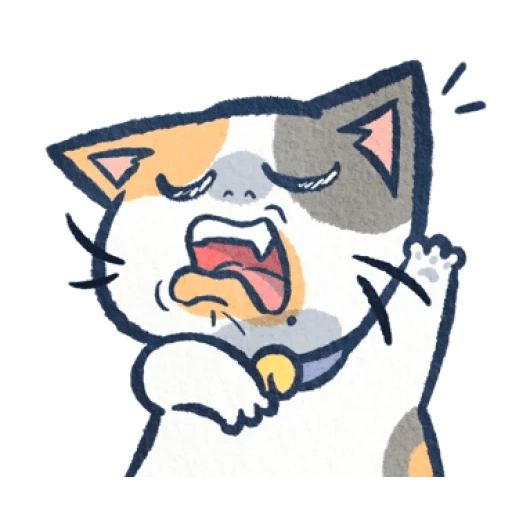 Gato Gatito loco 😜 crazy cat 😺 13