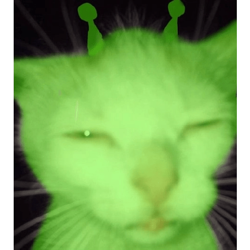 GREEN ALIEN CAT 1