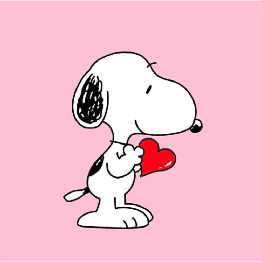 Amor 🥰 5