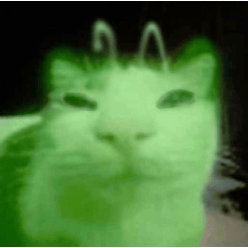 GREEN ALIEN CAT 10