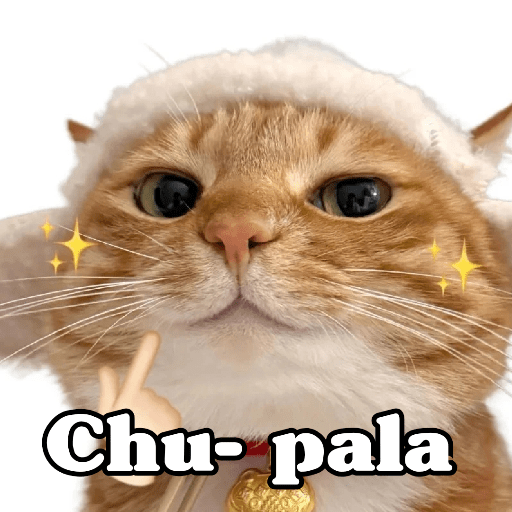 🧿 Dilo con michis 5😺 21