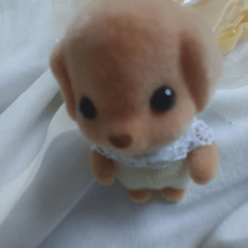 Tierno 🥺 7