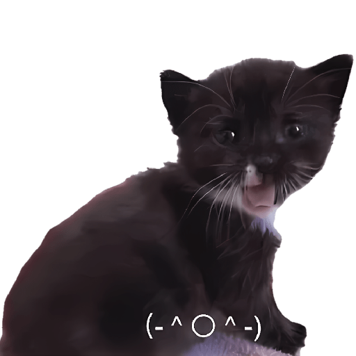 Gatitos memes viral 🔥 9