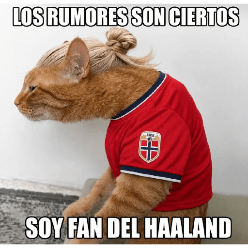 Memes 77 23