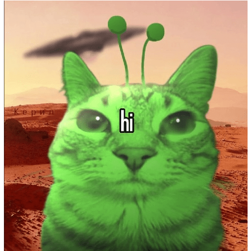 GREEN ALIEN CAT 13